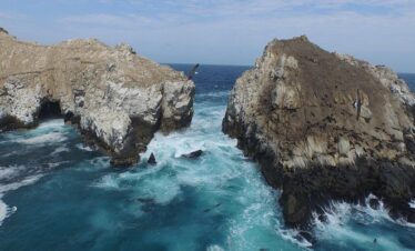 Islas Palomino: Naturaleza Viva